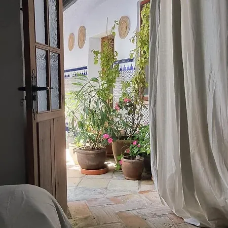 Casa de Férias Casa Concha Vejer de la Frontera